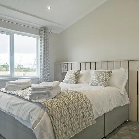 Stan Hollis - Ukc4063 *